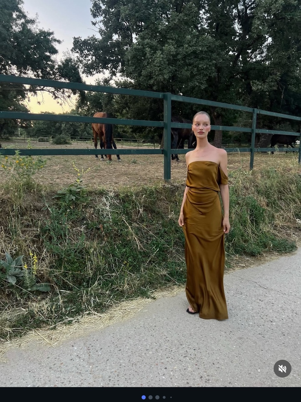 Strapless Gold Silk Evening Gown - Picture 4 of 7